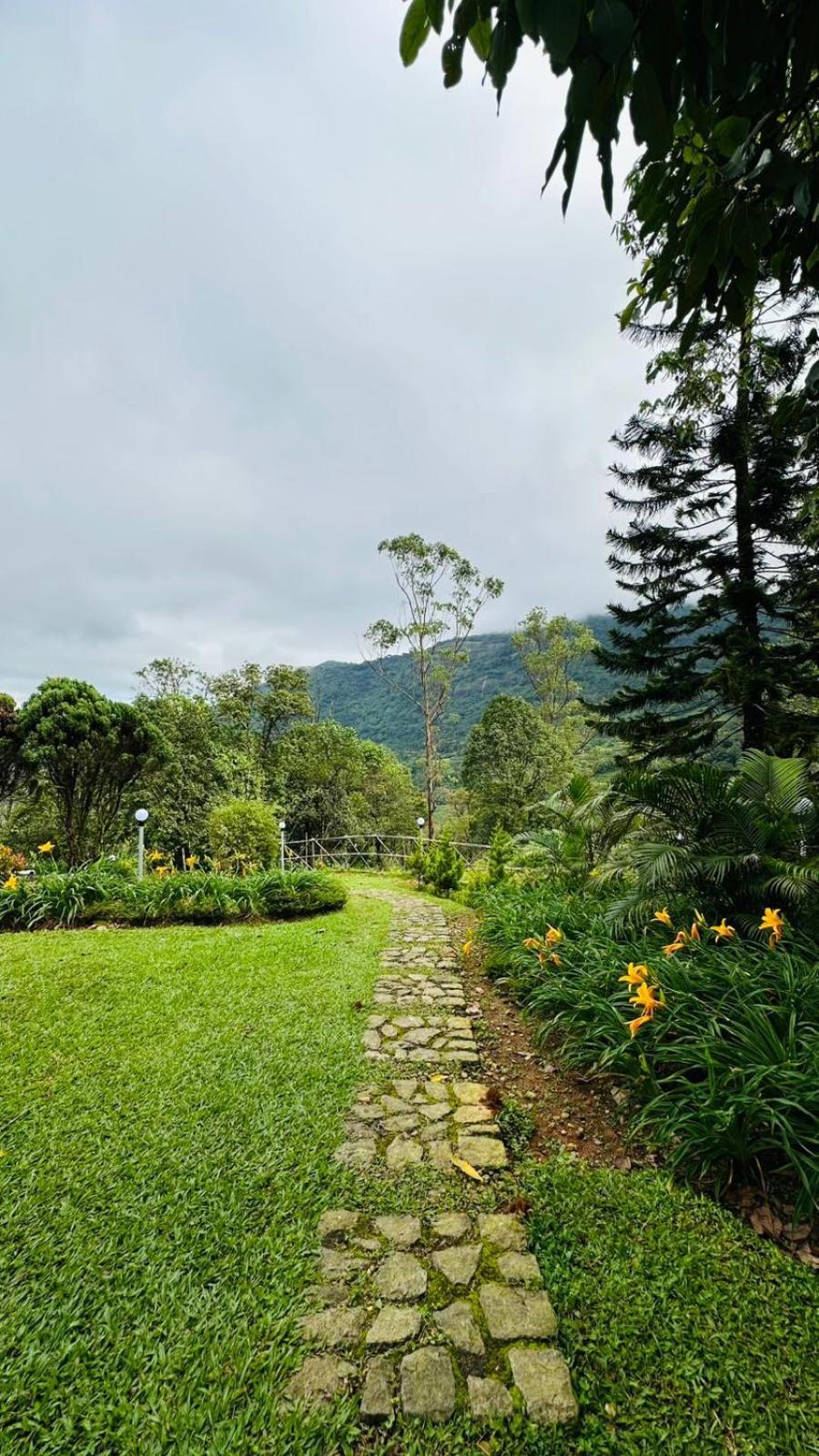 Wild Elephant Resort Kallar Vattiyar Exterior photo